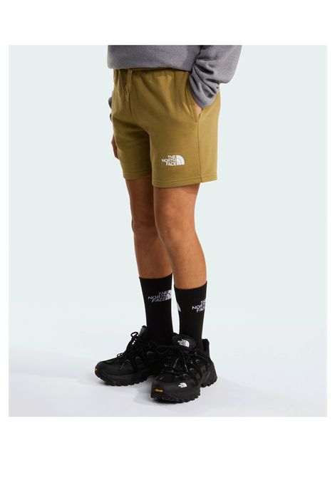 The North Face Simple Dome Regular Shorts Cedar Junior THE NORTH FACE | Shorts | NF0A8GR7-2EL